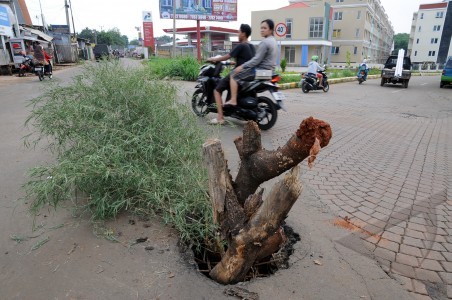 Jalan Pun Ditanami Pohon