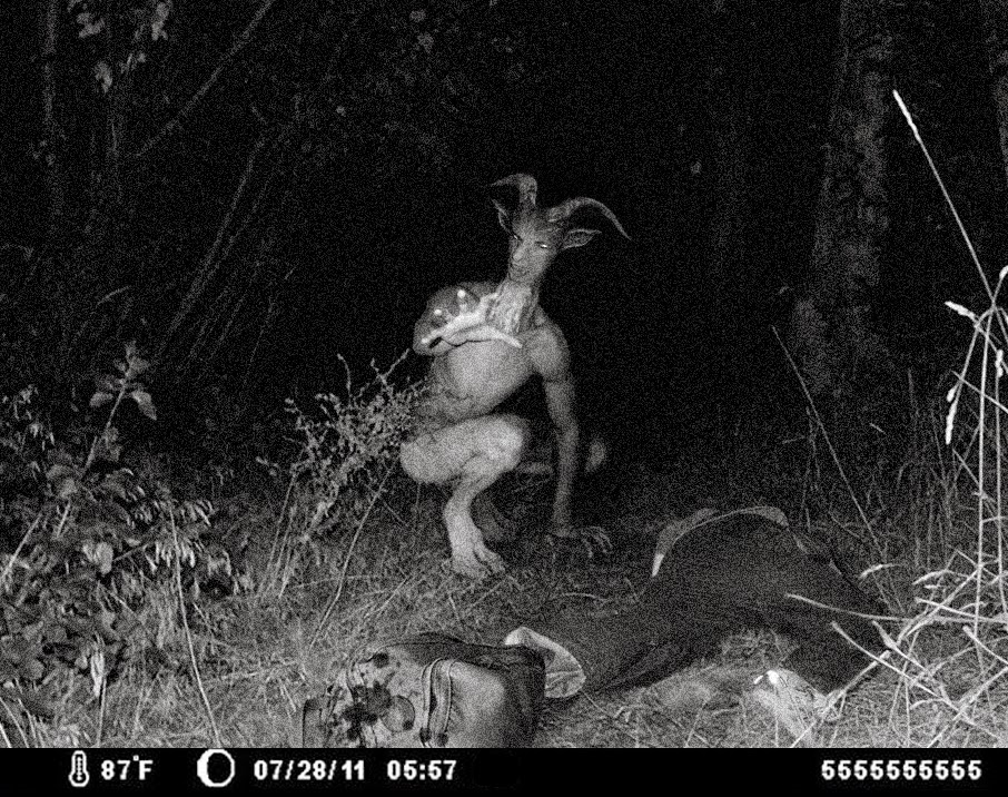 Cerita mistis Borneo &quot;Makhluk Di kebun Abah&quot;