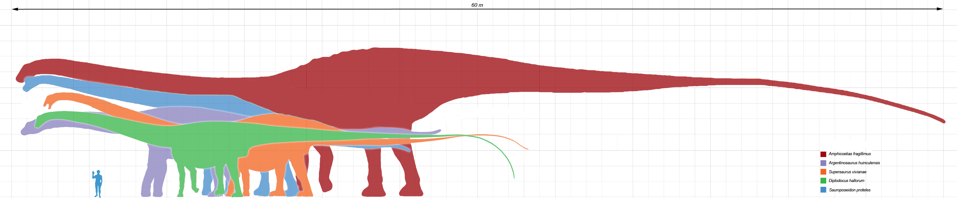 Wow Fosil Dinosaurus Terbesar Telah Ditemukan Lagi