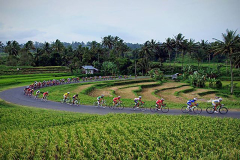 Fakta-Fakta Unik Tour de Singkarak, Event Balap Sepeda Terbesar di Indonesia