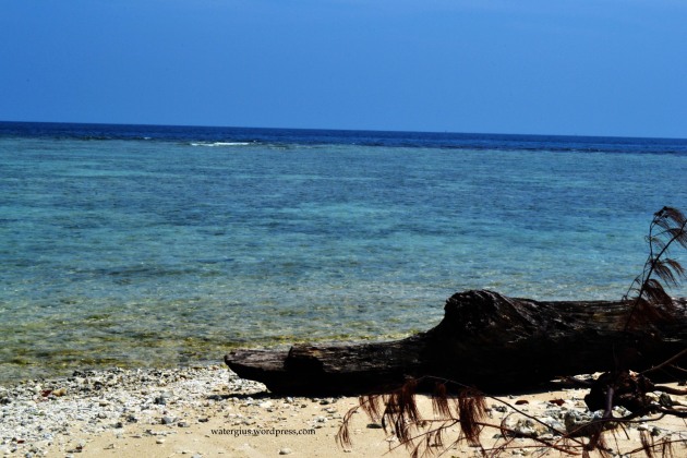 &#91;AJAKAN - SHARE COST&#93; Noordwachter, Mengunjungi Pulau Jaga Utara