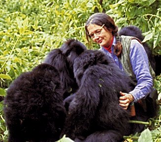 Dian Fossey - Orang Pertama Yang Di KIMPOI GORILLA [HOT On Google]