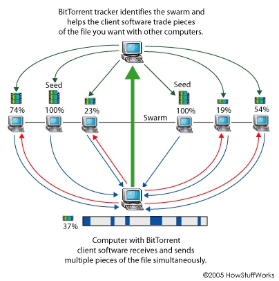 Apa itu Torrent dan BitTorrent — Serta Bagaimana Cara Kerjanya