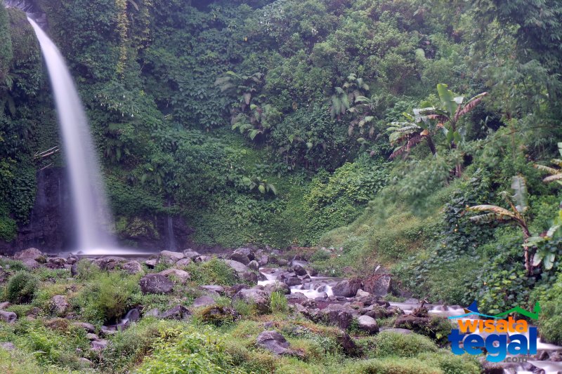 &#91;Coc Reg. Tegal&#93; 4 Curug yang Cantik dan Mempesona di Tegal