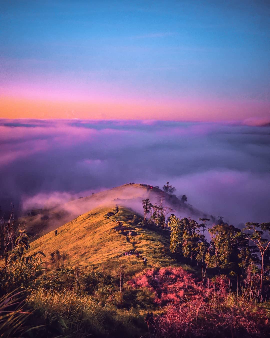 Pasti Ketagihan, Ini 10 Tempat Wisata Alam Terbaik di Konawe!