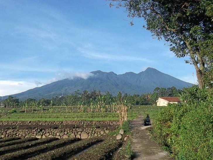 Rekomendasi Hotel di Puncak yang Kekinian