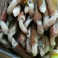 Sundeng, Sejarah Kepercayaan Primitif di Sangihe Talaud