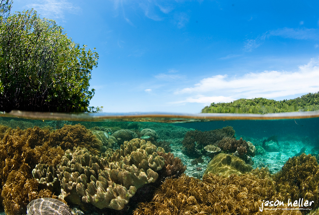 5 Diving Spot Paling Indah Di Indonesia