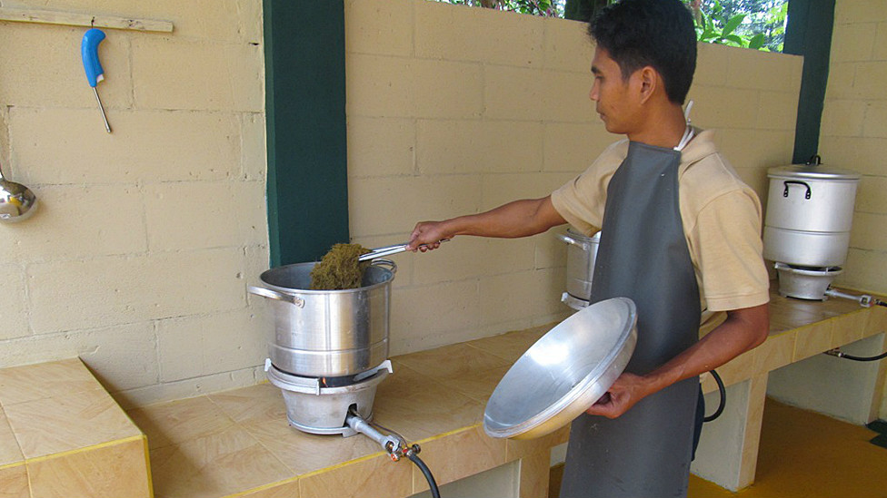 Kertas Dari Kotoran Gajah