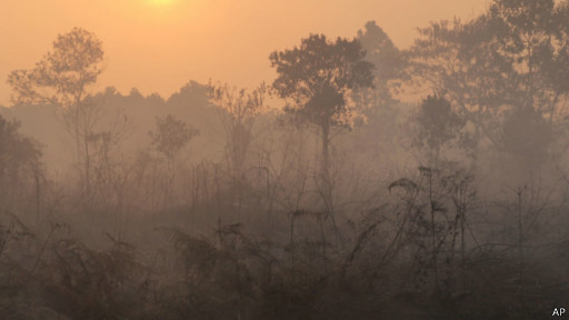 &#91;KAWAL&#93;Ratusan titik api bermunculan di Riau