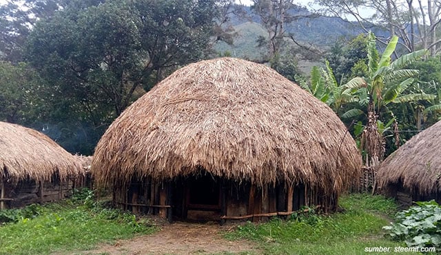 Honai, Rumah Adat Papua Berbentuk Jamur, Tempat Tinggal Khusus Para Pria!