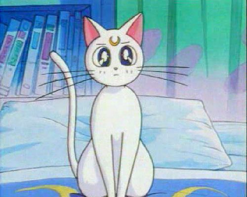 &#91;PIC&#93;Tau kan serial kartun SAILORMOON, ini ada titisan kucing-nya gan..