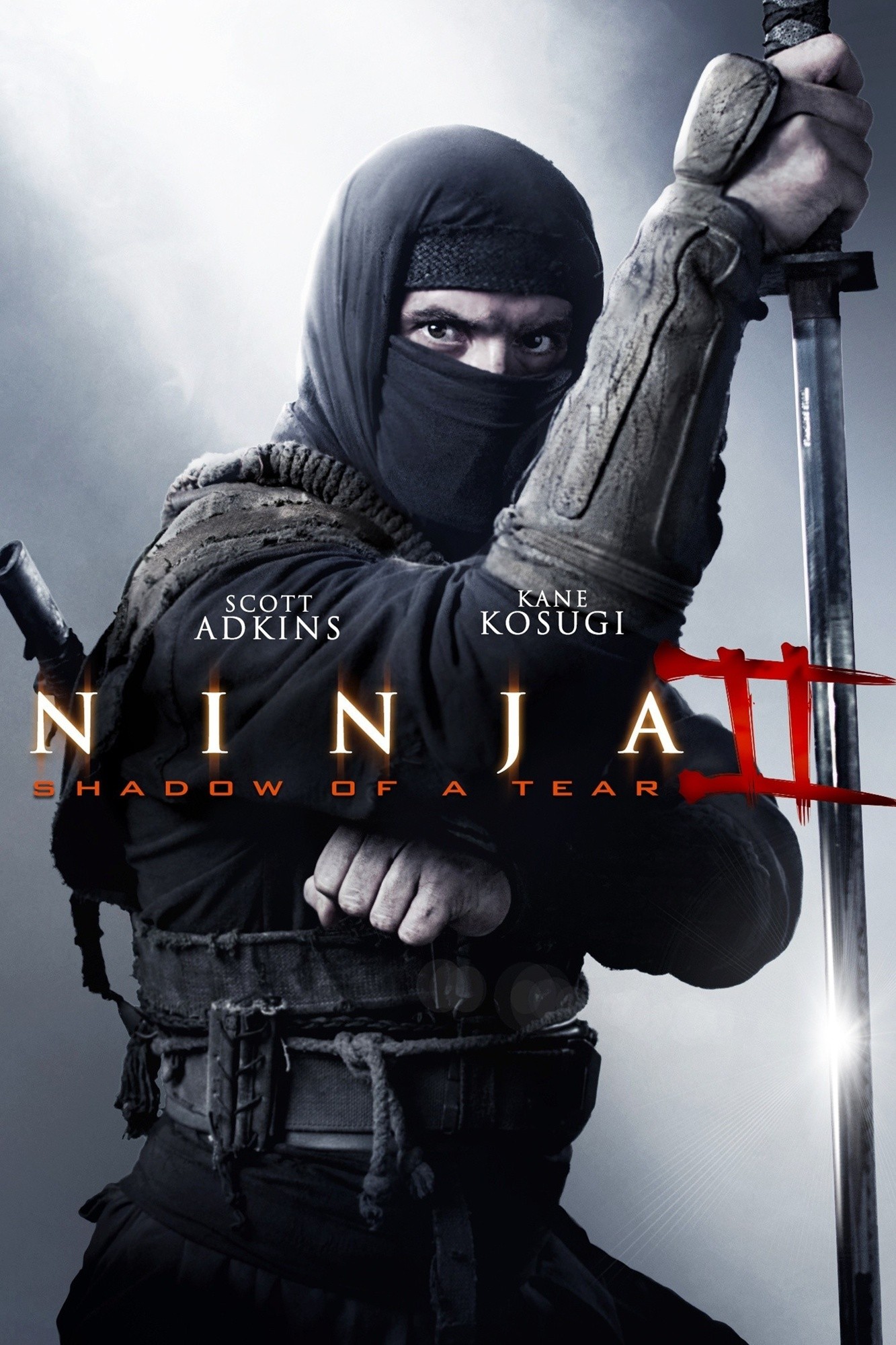 Ninja: Shadow of A Tear (2013)