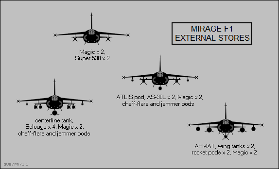 Mirage F-1 , the Cat killer 
