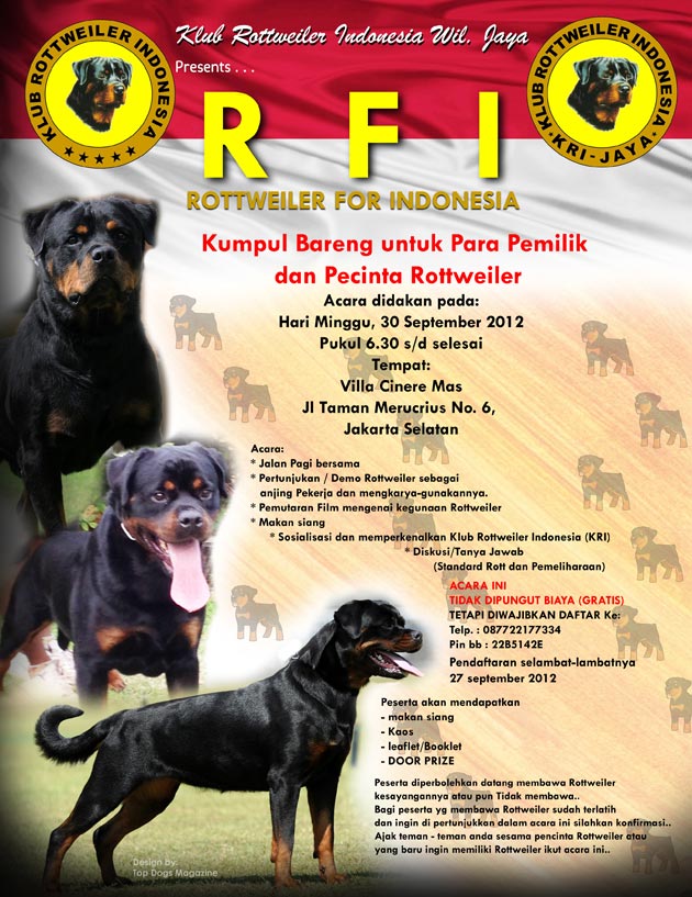 rottweiler-for-indonesia-dogs-gathering