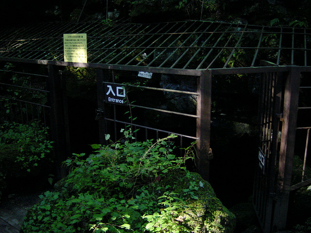 Aokigahara, Hutan Bunuh Diri Sempat Jadi Tema Film
