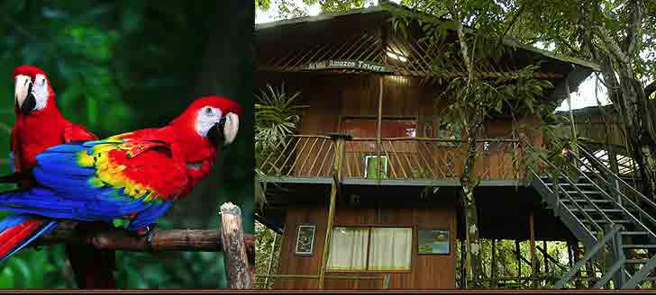 Hotel Ariau Amazon Towers : Kemewahan Ditengah Kerindangan Hutan Amazon