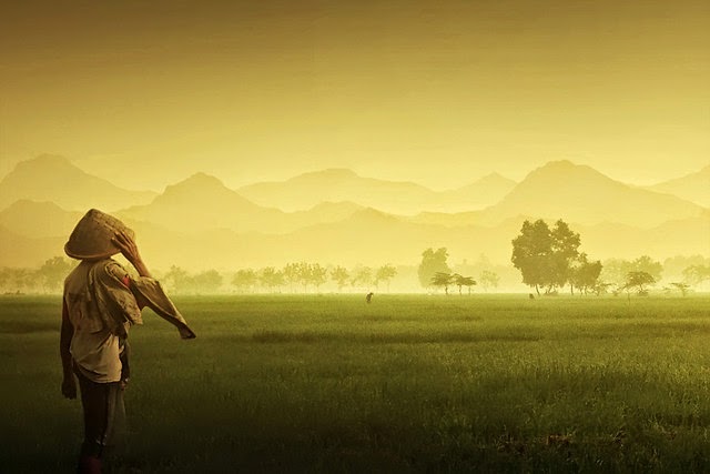 Sukses itu apa to om lembu? SUKSES ITU BERJUANG TANPA HENTI !!!