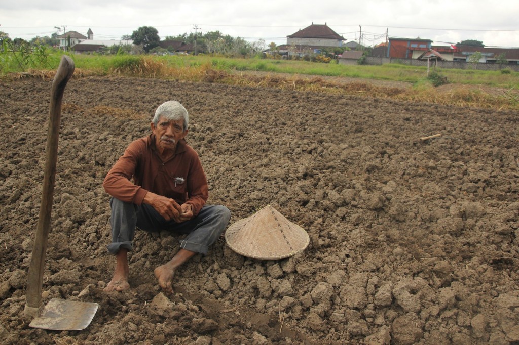 Selamatkan Hutan