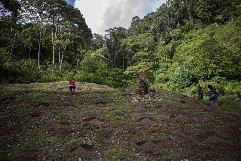 MIT pergi, datanglah bahagia bagi para petani Poso