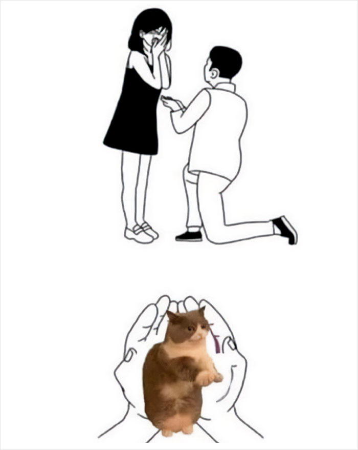 Akun Twitter ini mengumpulkan 2,9 juta pengikut hanya dengan berbagi meme jenaka