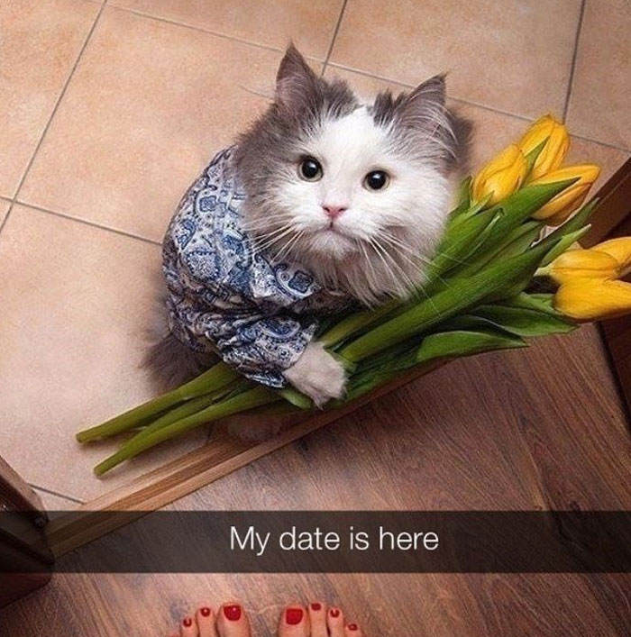 Akun Twitter ini mengumpulkan 2,9 juta pengikut hanya dengan berbagi meme jenaka