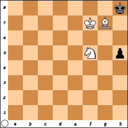 catur-tempat-ngumpulnya-pecinta-catur---chess-lovers-yang-mau-belajar-juga-boleh