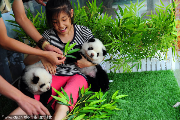 (lucu dan unik gan),trend baru di china,mengubah anjing menjadi panda dan harimau