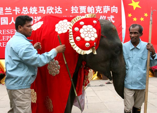 Hutang hingga Panda, Berikut 5 Diplomasi Unik dan Mematikan yang Wajib Gansis Ketahui