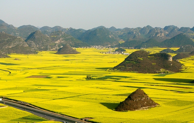 Lautan Kuning di Tengah Pedesaan China