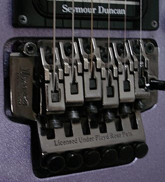 pecinta-ibanez-masuk