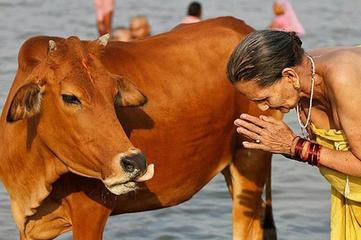 Dituduh Membawa Daging Sapi, 2 Perempuan Muslim Dikeroyok Warga