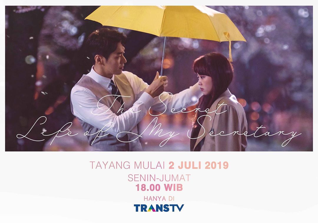 drama-the-secret-life-of-my-secretary-trans-tv