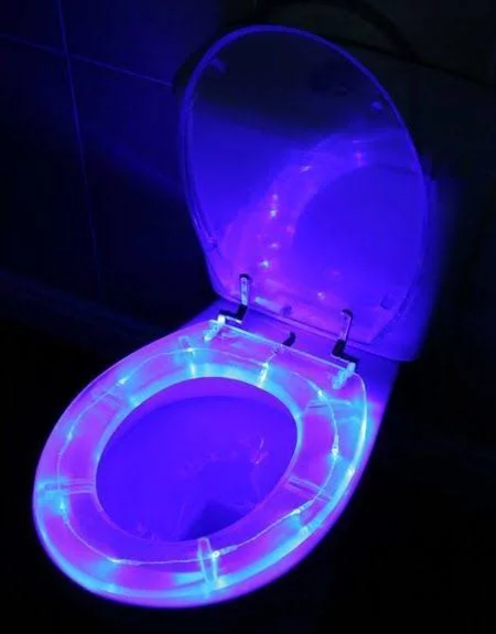 Ada Aquariumnya, 5 Penutup Toilet Paling Aneh yang Ada di Dunia