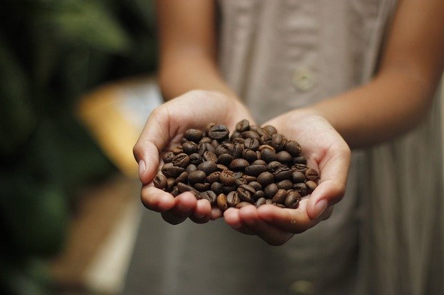 Menengok Desa Manyate Ethiopia, Tempat Ditemukannya Kopi Pertama Kali