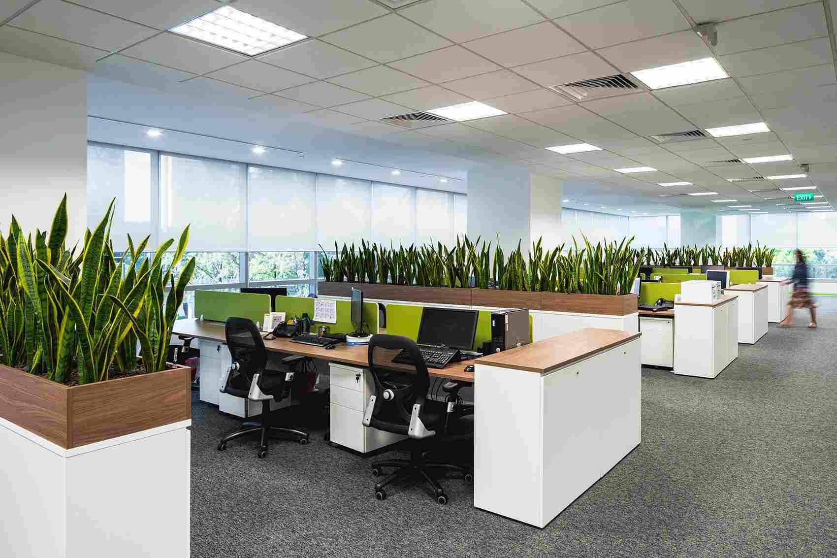 5 Inspirasi Desain Homey Kantor Crocs, Bebas Main Billiard