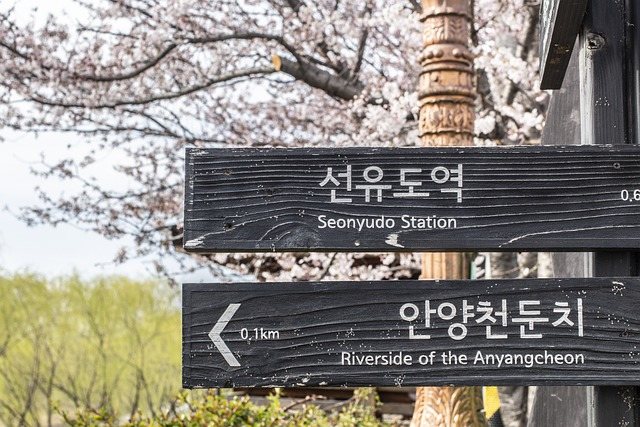 Semua Pasti Bisa, 5 Tips Belajar Bahasa Korea dengan Mudah