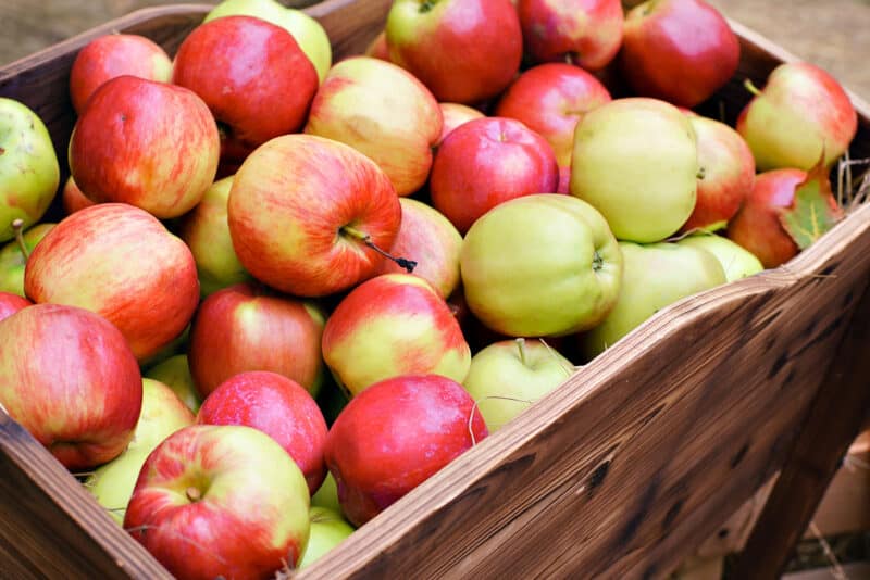 5 Sayur dan Buah yang Sebaiknya Gak Masuk Kulkas Bersamaan, Apa Aja Ya?