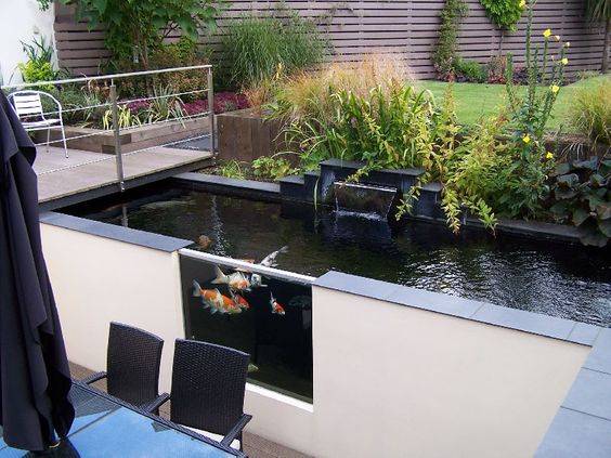 Minimalis, 5 Ide Desain Kolam Ikan Koi Indoor Maupun Outdoor