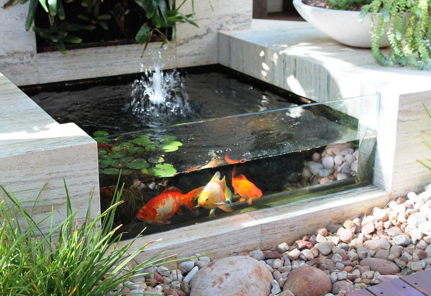 Minimalis, 5 Ide Desain Kolam Ikan Koi Indoor Maupun Outdoor
