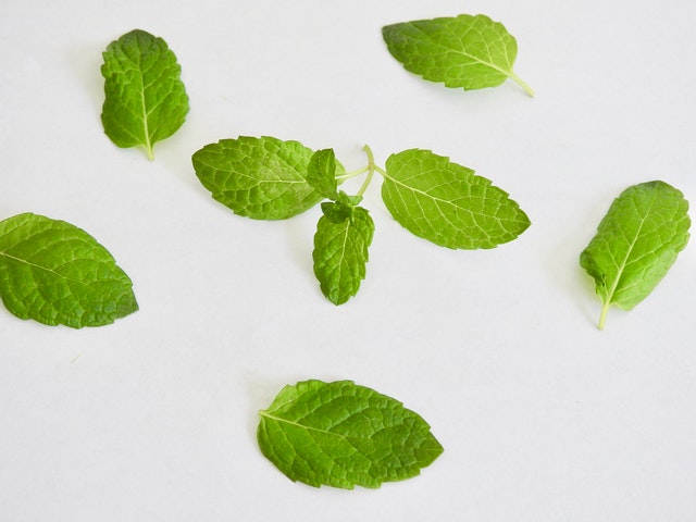 Enak dan Segar, 5 Manfaat Daun Spearmint untuk Tubuh