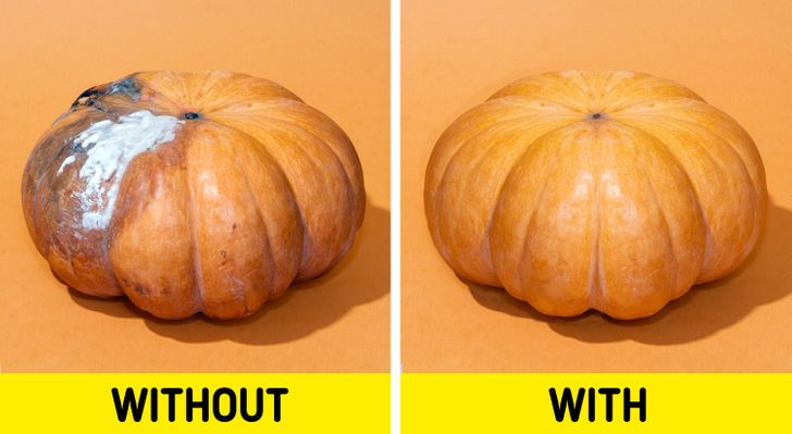 Gak Harus Masuk Kulkas, 5 Cara Agar Makanan Tetap Fresh