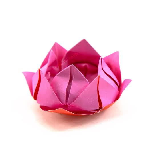 5 Bunga Kertas Origami dengan Berbagai Bentuk, Ada Lily Hingga Kaktus