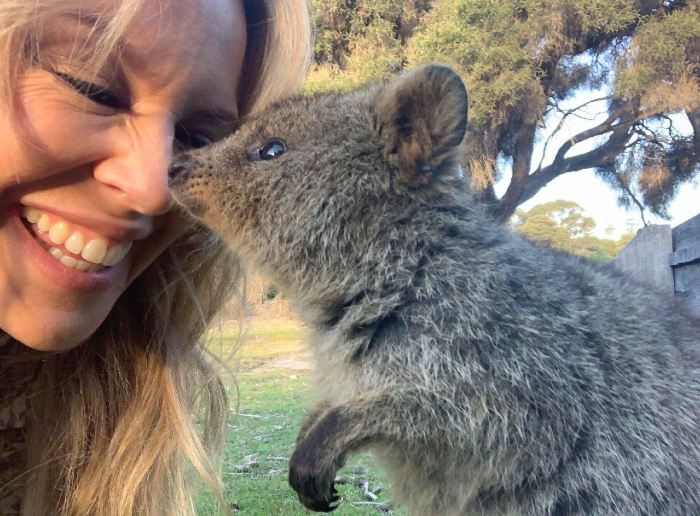 Mengenal Quokka, Hewan Paling Bahagia di Dunia yang Suka Difoto