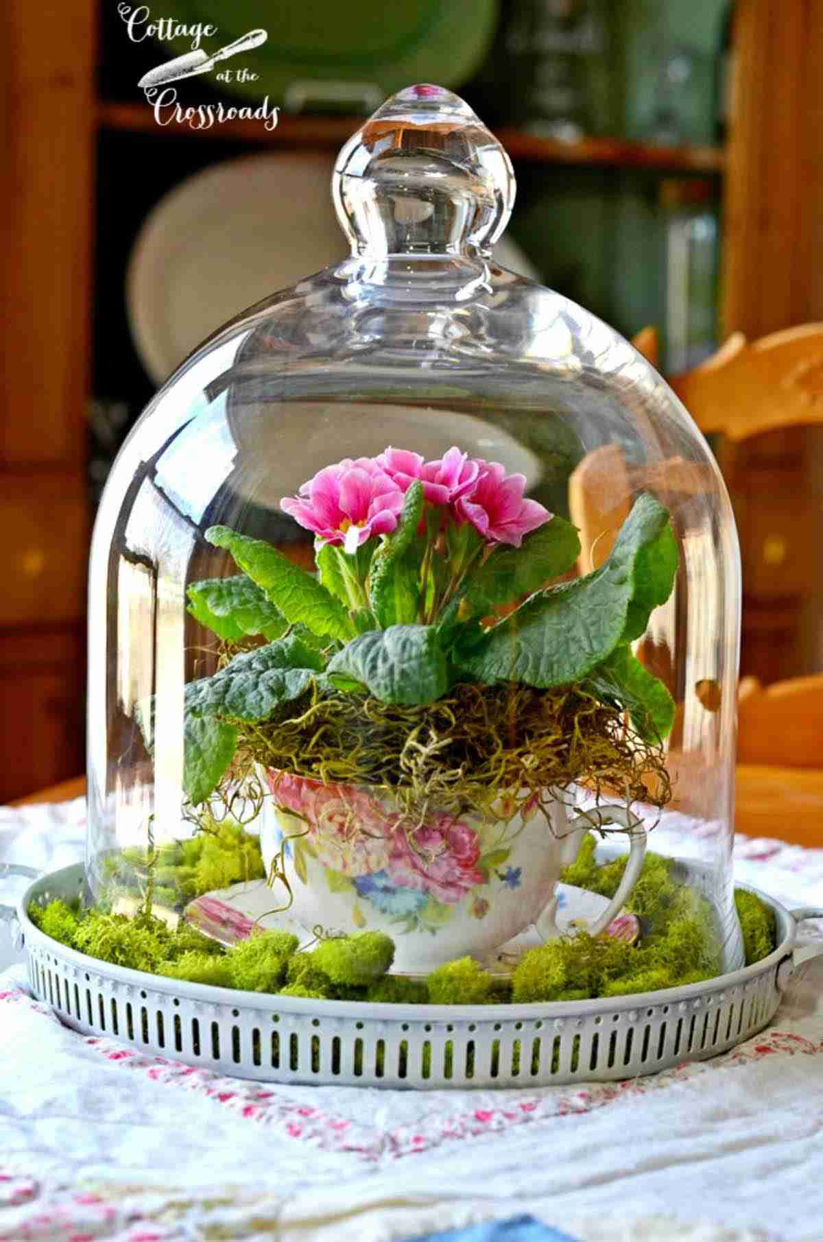 5 Miniatur Taman di Atas Cangkir, Ada Rumahnya Juga