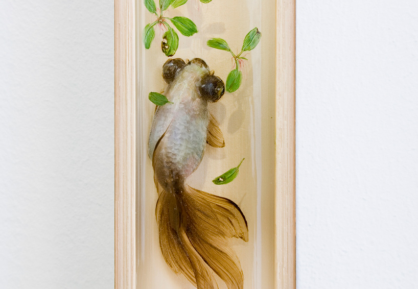 &quot;Goldfish Salvation&quot; Riusuke Fukahori - Crazy 3D Painting