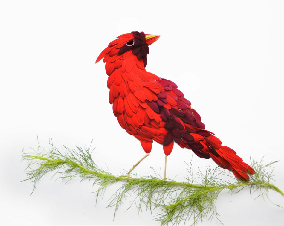 Exotic Birds Rendered in Flower Petals by Red Hong Yi