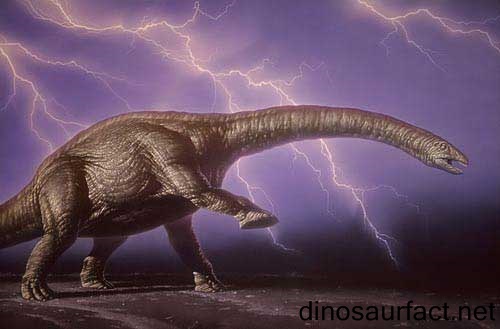 Brontosaurus Sebenarnya Tidak Pernah Ada