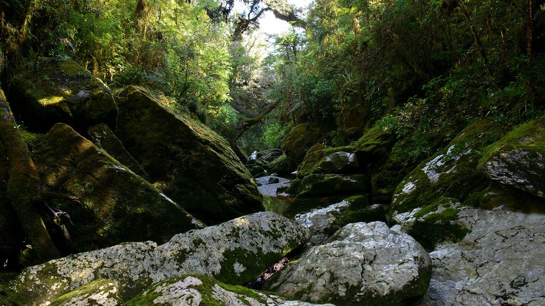 Runtuh, Insiden Jembatan Cave Creek