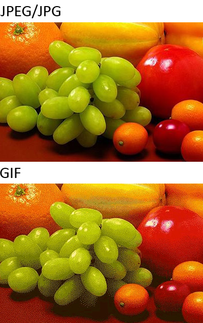 Mengenal Lebih Dalam Perbedaan PNG, JPEG dan GIF